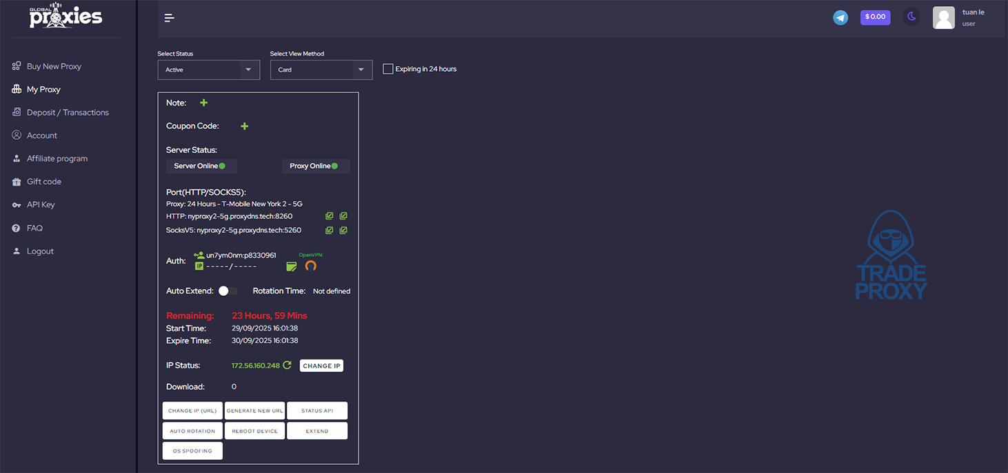 website global proxies